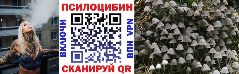 Галлюциногенные грибы Cubensis  магазин продажи наркотиков  Дыгулыбгей 